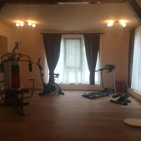 Pensiunea Jojo Pensiune Băile Herculane