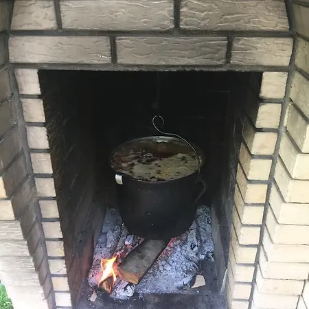 Gasthof Pensiunea Jojo Băile Herculane